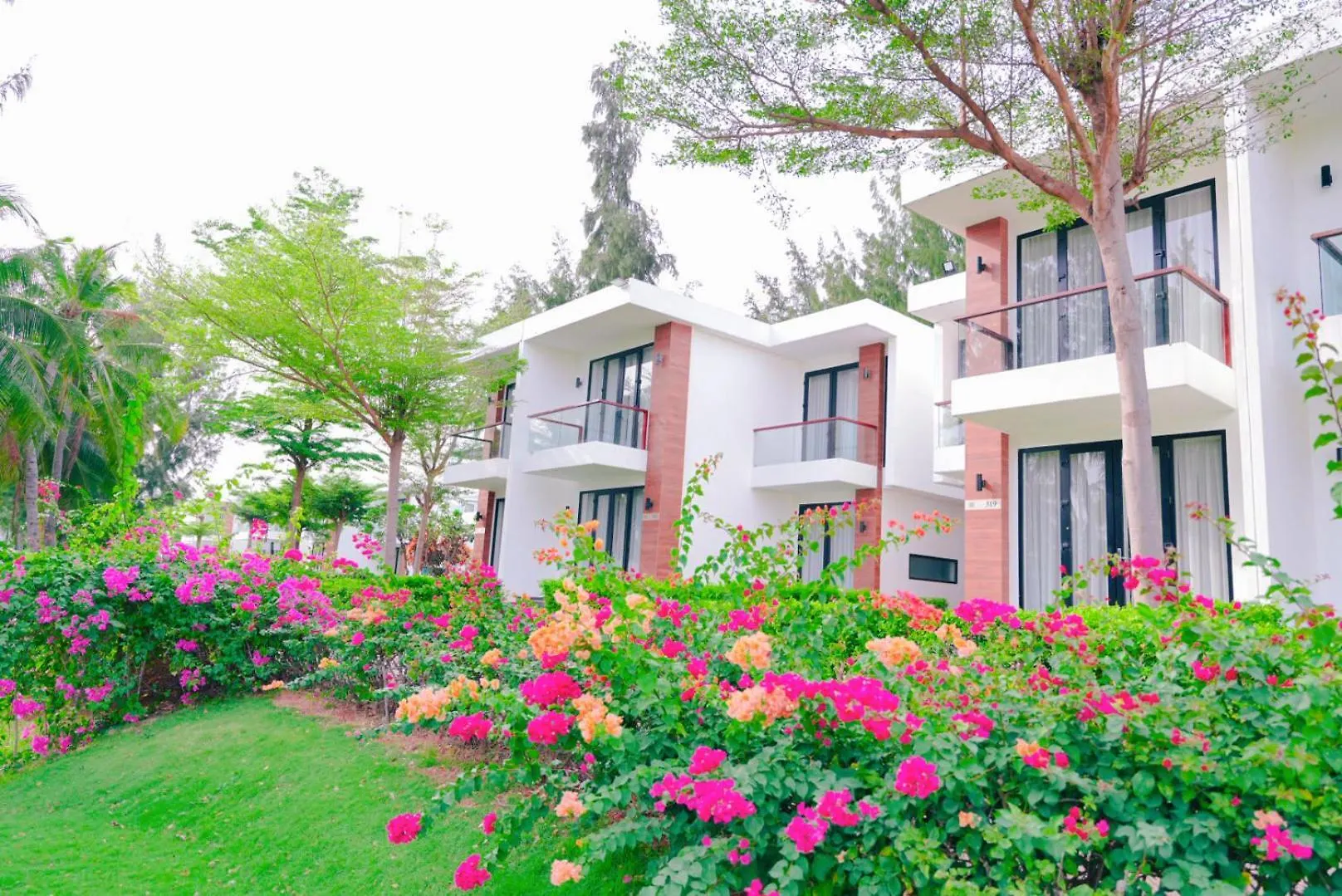 度假居 Biet Thu Mat Tien Bien Saint Simeon Resort 头顿 越南